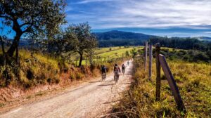 cycling in south west scotland