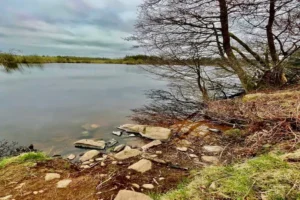 Fishing in Scotland - salmon fishing in scotland