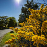 Enjoy four seasons at Coastal Kippford