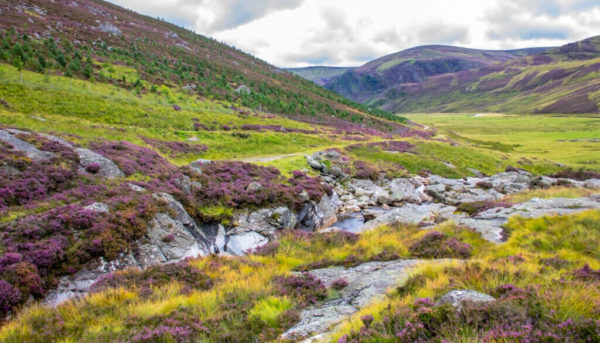 Cairngorms National Park_Snap Trip