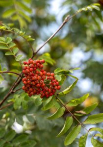 Enjoy four seasons at Coastal Kippford