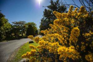 Enjoy four seasons at Coastal Kippford