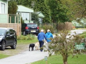 Pet Friendly Caravan Parks in Scotland