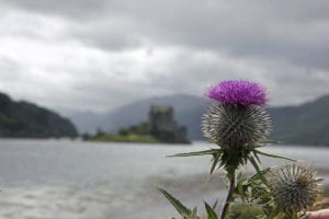 Historic Scotland – Great Days Out for History Buffs in Southern Scotland