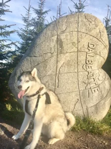 7stanes Dalbeattie Heart Stane