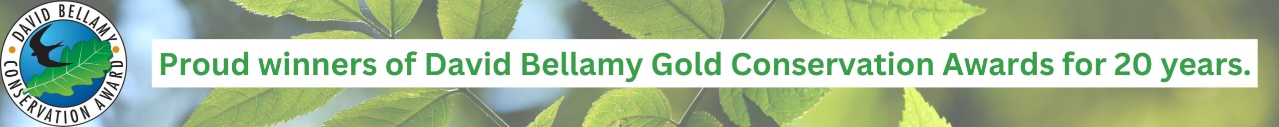 David Bellamy Gold Conservation Award David Bellamy Gold Conservation Award