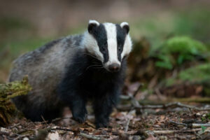 easter fun in dumfries and galloway