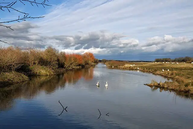 Caerlaverock WWT Reserve 