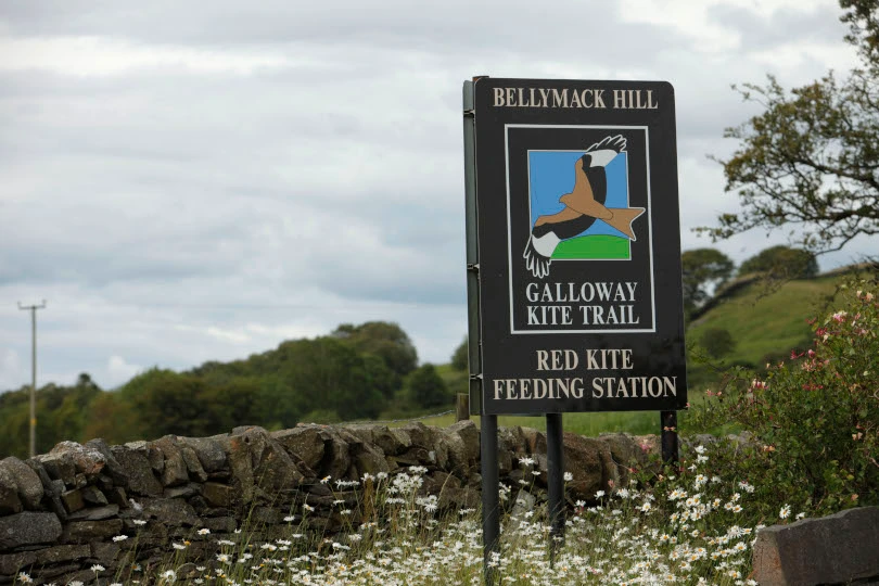 Galloway Red Kite Trail 