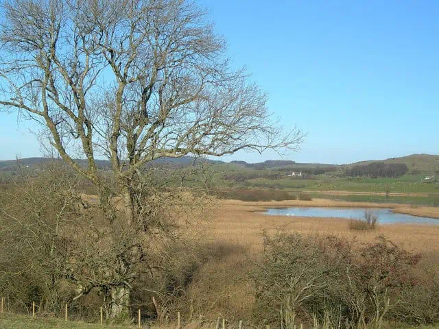 Ken Dee Marshes Nature Reserve 