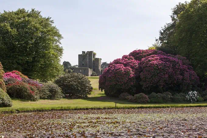 Lochinch Castle & Castle Kennedy Gardens