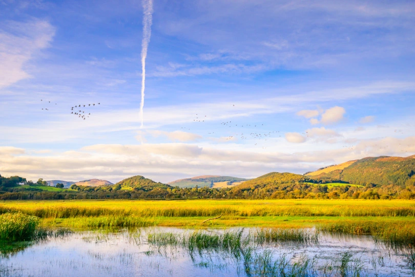 Mersehead RSPB 