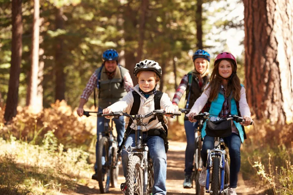 Gorsebank Bike Hire