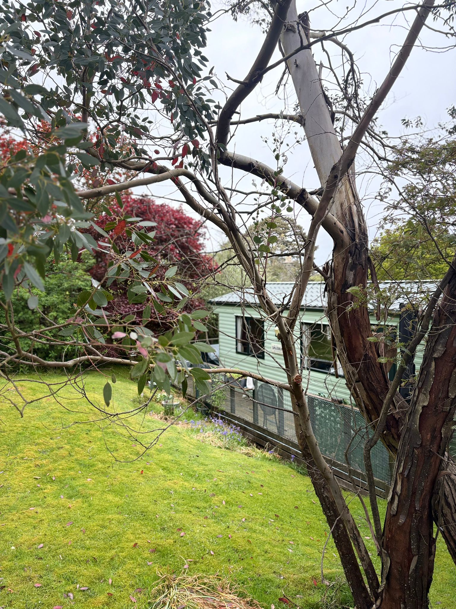 A garden view from this private luxury caravan